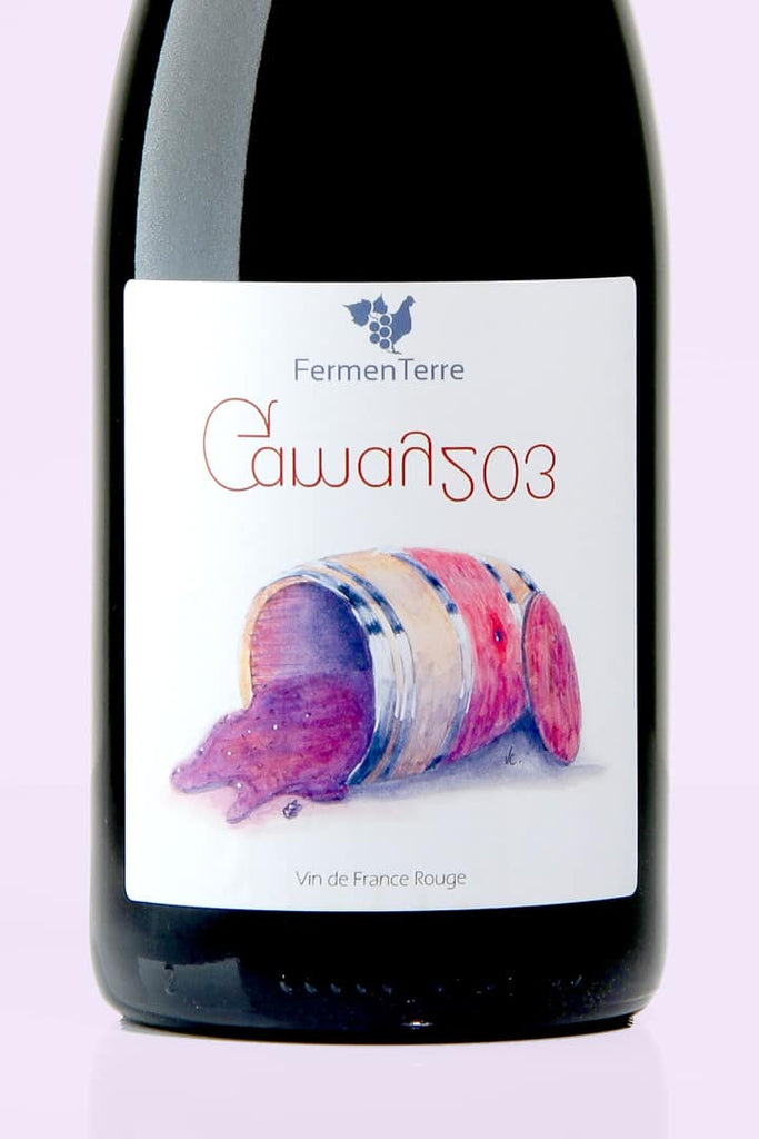 Loire / Vin de France / Gamay 203, 2020 / Fermenterre / Rouge - Whynat.fr