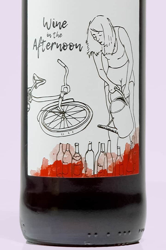 Auvergne / Vin de France / Wine in the afternoon Le Flambant neuf, 2020 / Stéphan Elzière / Rouge - Whynat.fr