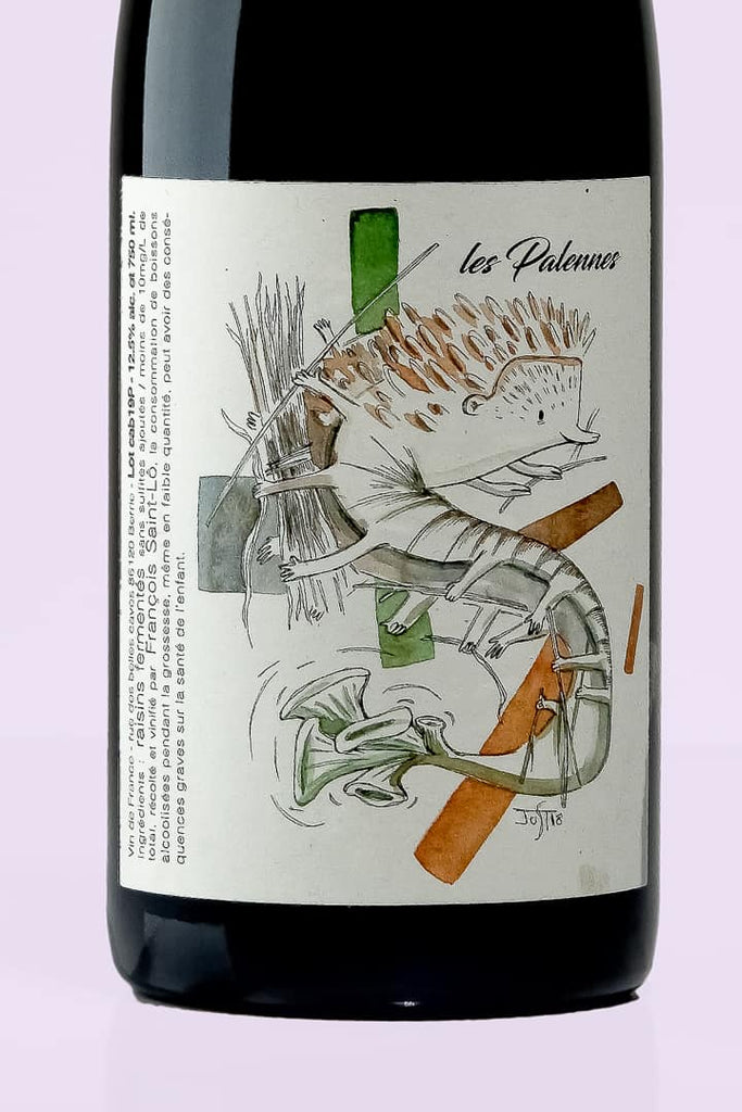 Loire / Vin de France / Les Palennes , 2019 / François Saint-Lô / Rouge - Whynat.fr