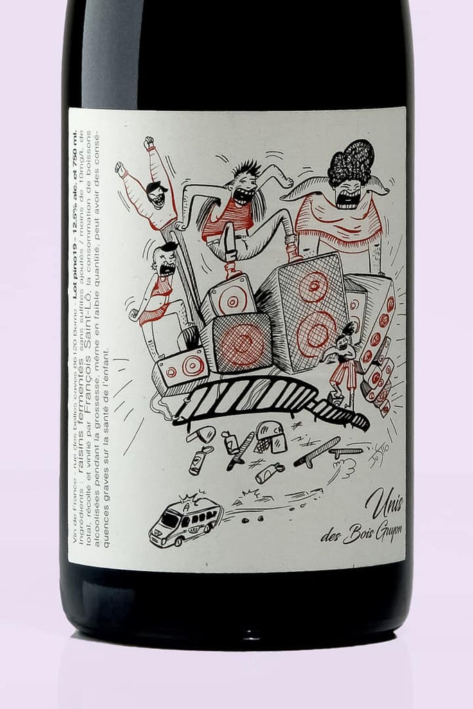 Loire / Vin de France / Unis, 2019 / François Saint-Lô / Rouge - Whynat.fr
