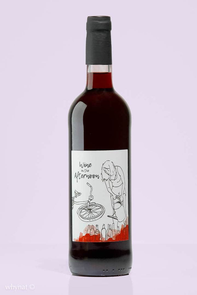 Auvergne / Vin de France / Wine in the afternoon Le Flambant neuf, 2020 / Stéphan Elzière / Rouge - Whynat.fr