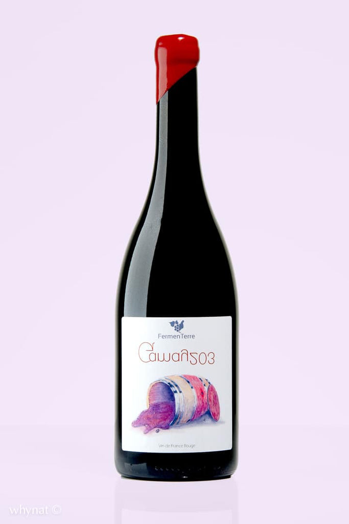 Loire / Vin de France / Gamay 203, 2020 / Fermenterre / Rouge - Whynat.fr