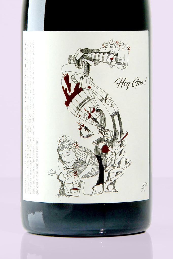 Loire / Vin de France / Hey Gro !!, 2020 / François Saint-Lô / Rouge - Whynat.fr