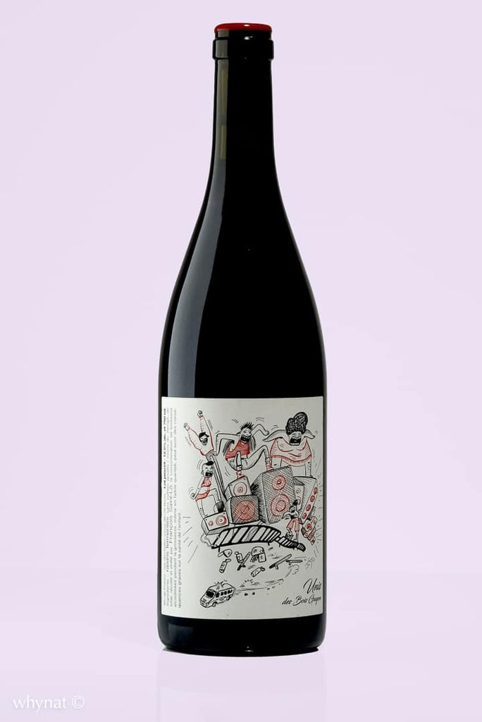 Loire / Vin de France / Unis, 2019 / François Saint-Lô / Rouge - Whynat.fr