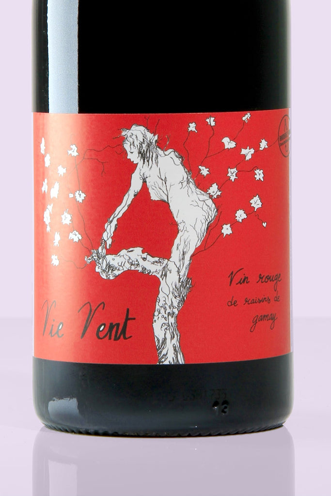 Loire / Vin de France / Vie Vent, 2020 / Les vignes de l'Atrie / Rouge - Whynat.fr